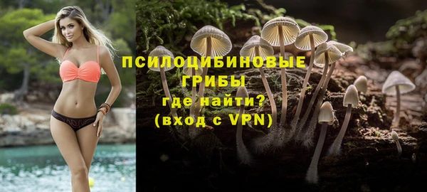 ALPHA-PVP Алексин