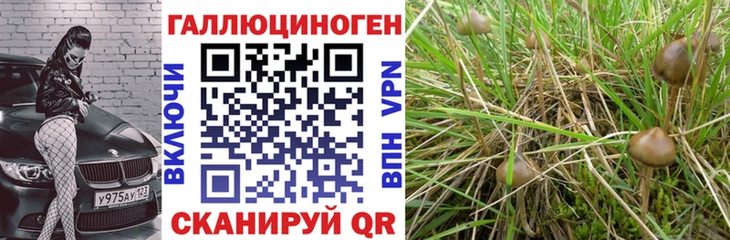 как найти   Боровск  Псилоцибиновые грибы ЛСД 