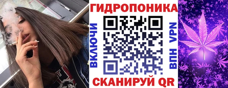 дарнет шоп  Боровск  Канабис гибрид 